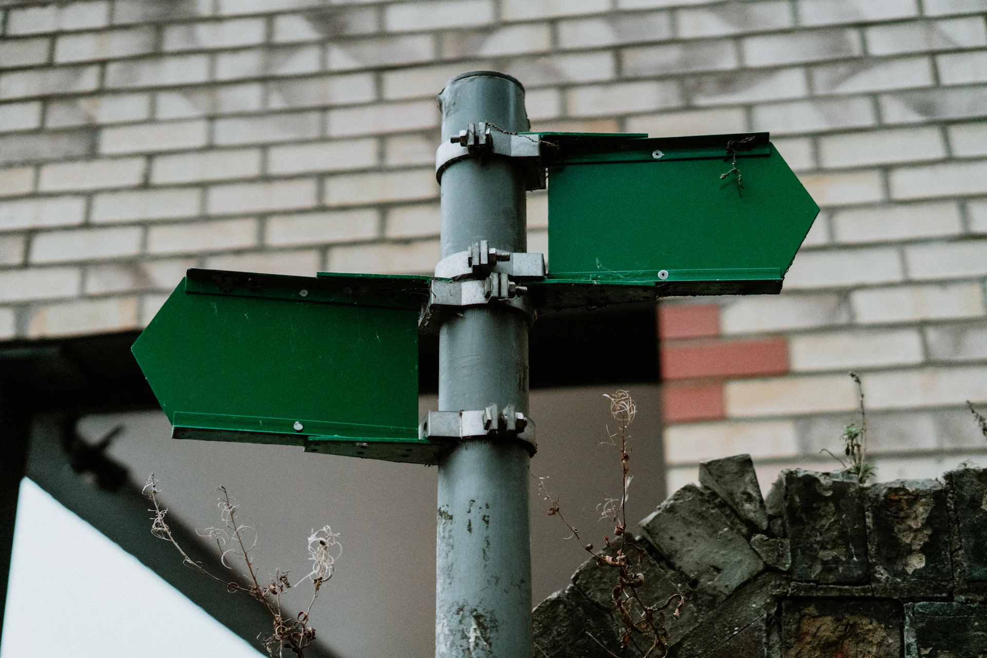 A sign pointing the way in a desert garden.